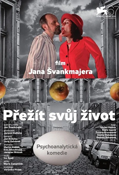 Постер к фильму Пережить свою жизнь (2010)