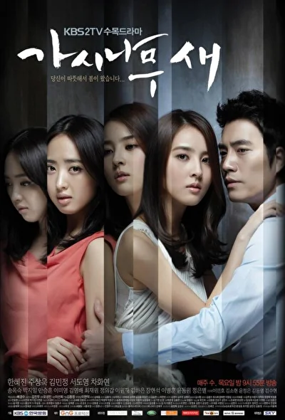 Постер к дораме Поющие в терновнике (2011)