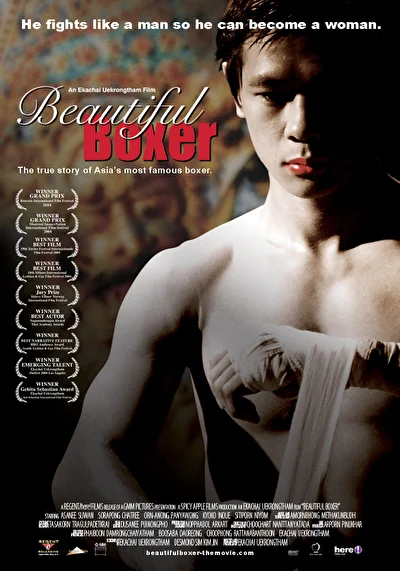 Постер к Прекрасный боксер (2003)