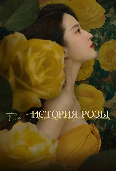 Постер к дораме История розы (2024)